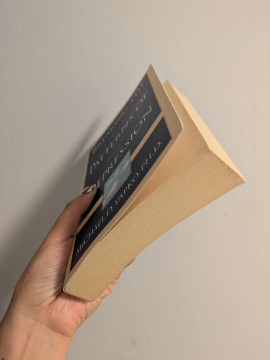 Book - photo 2