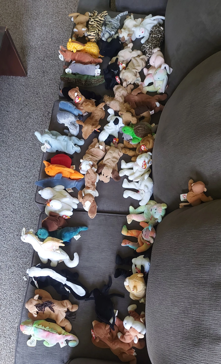 Collection of Beanie Babies - photo 2