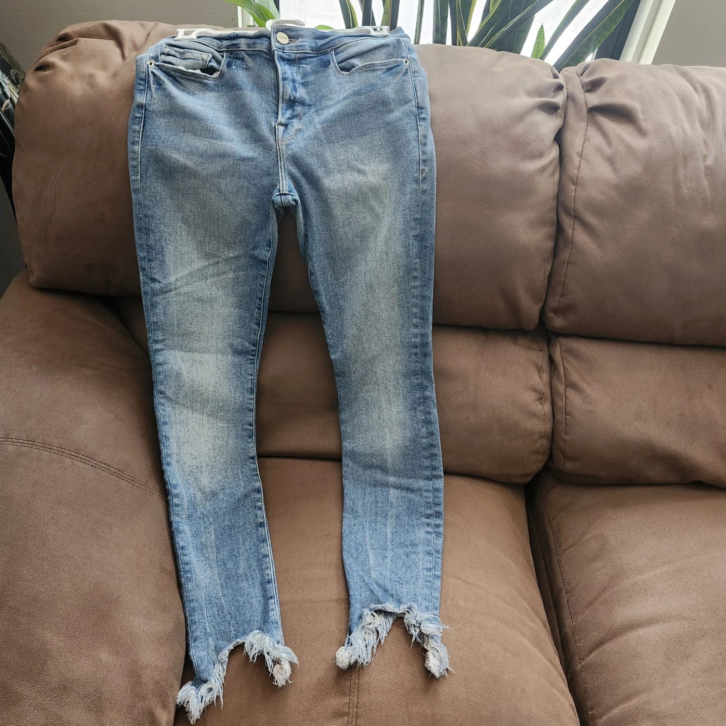 Women Distressed Jeans