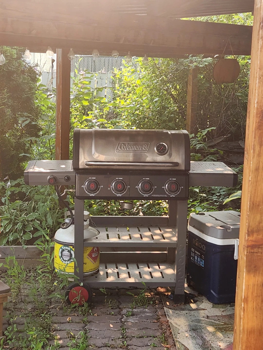 Coleman Propane BBQ Grill