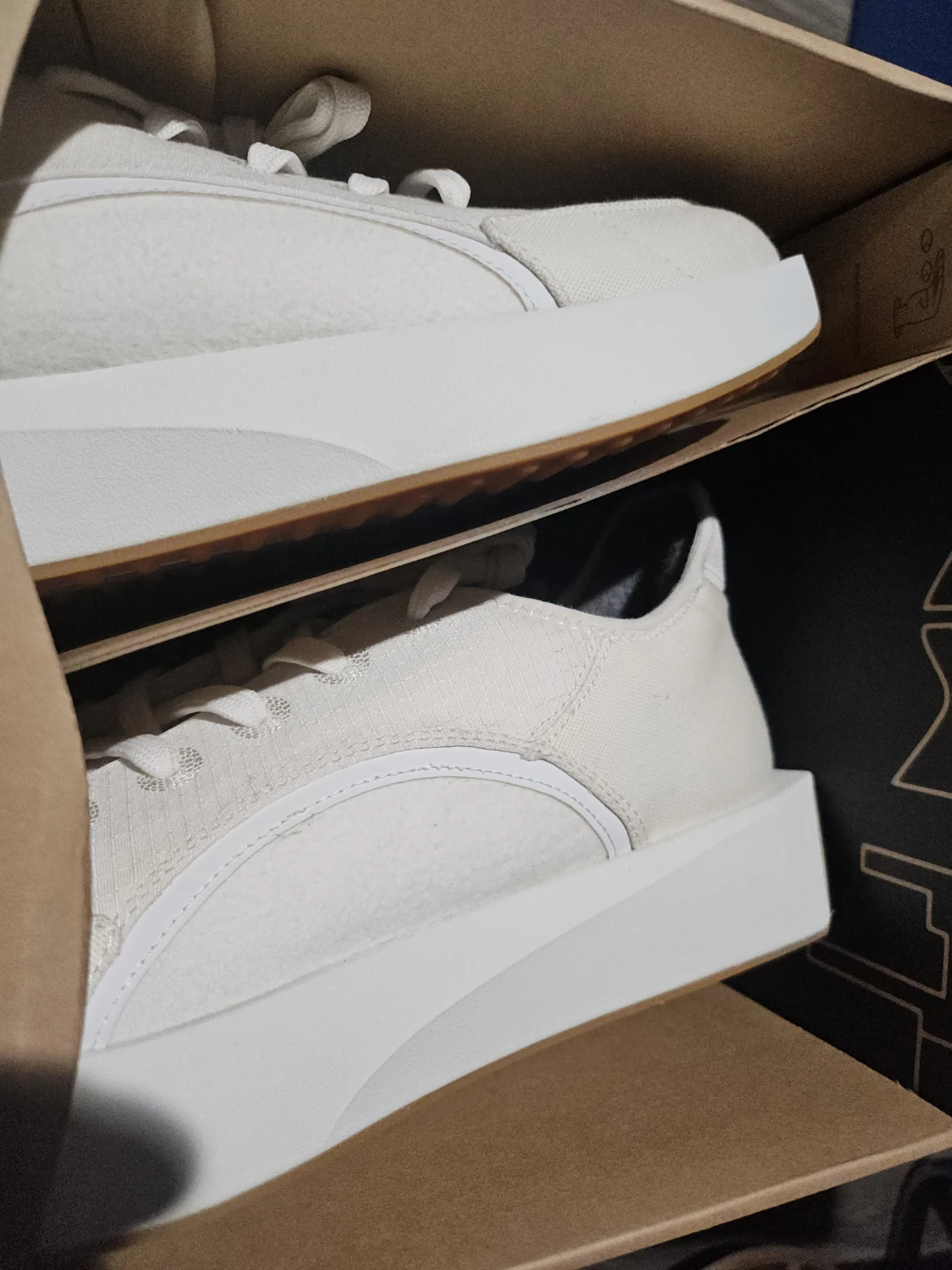 Allbirds Cream Canvas Sneakers