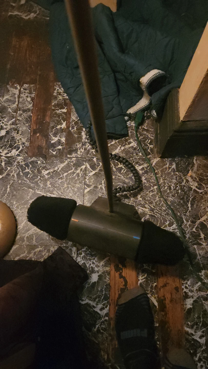 Electric Shoe Polisher