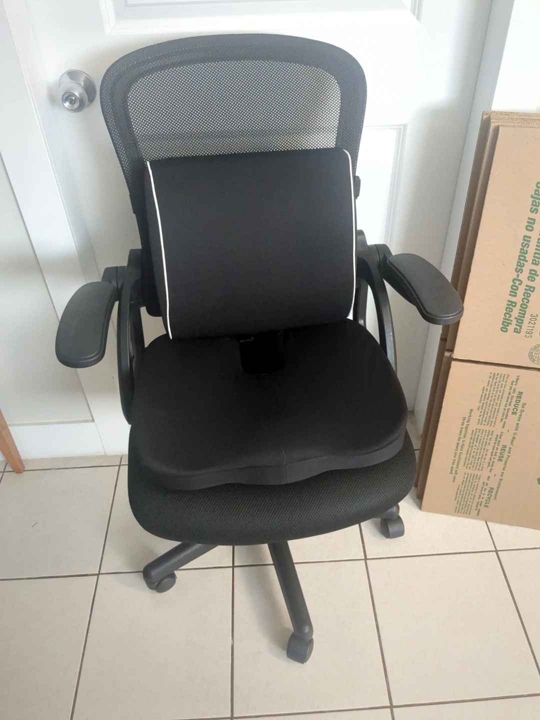 Ergonomic Office Chair & Lumber Cushion Set