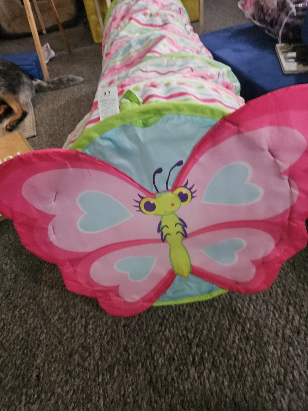 Kids Play Tunnel Tent Butterfly Design - photo 2