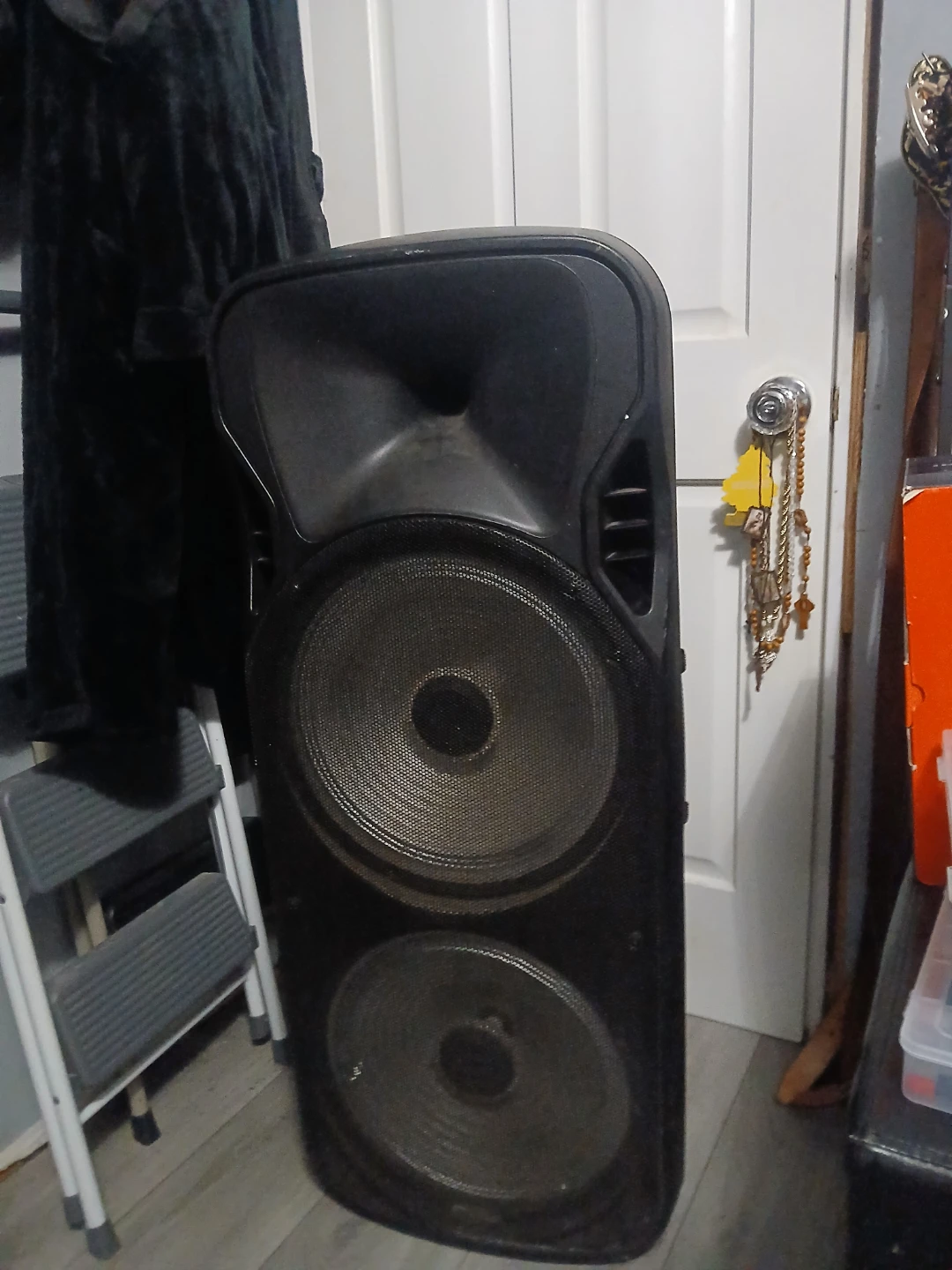 Nitro 15" PA Speaker