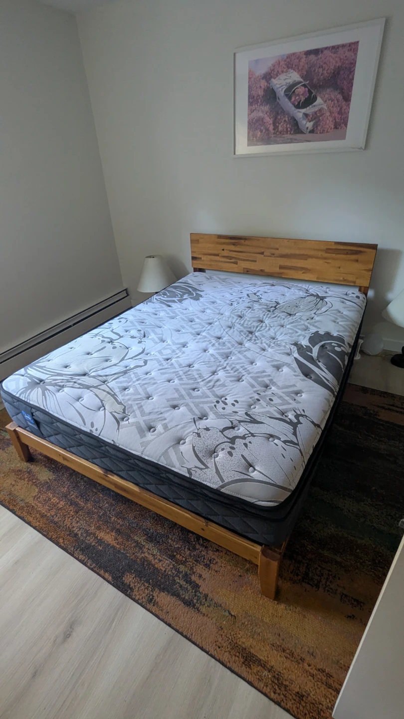 QUEEN Wooden bed frame and Sealy mattress