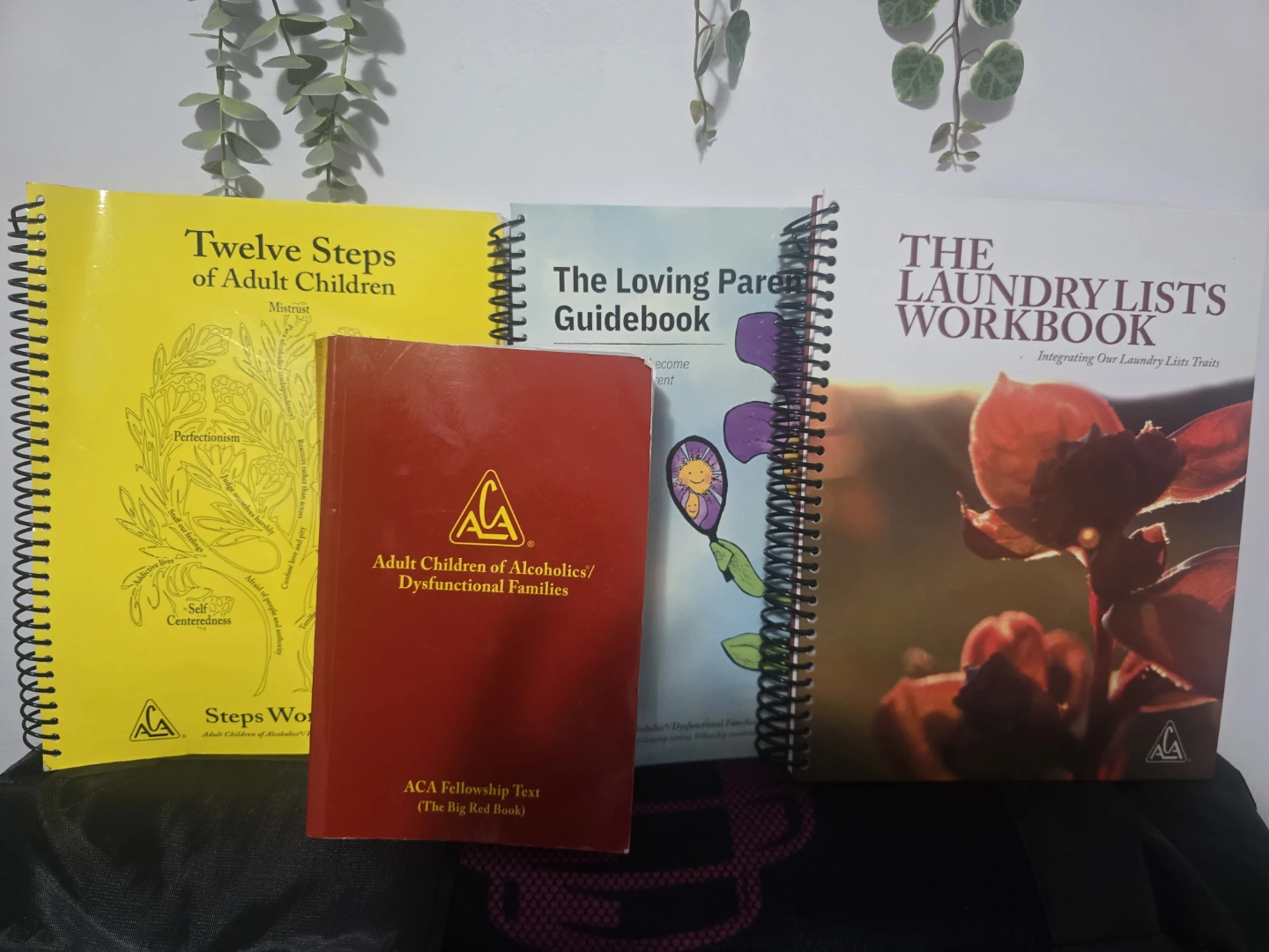 Adult Children of Alcoholics (ACA) Book & Workbook Bundle