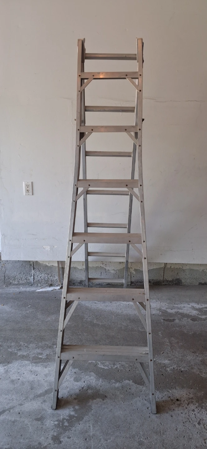 Aluminum Multi-Position Ladder - photo 3