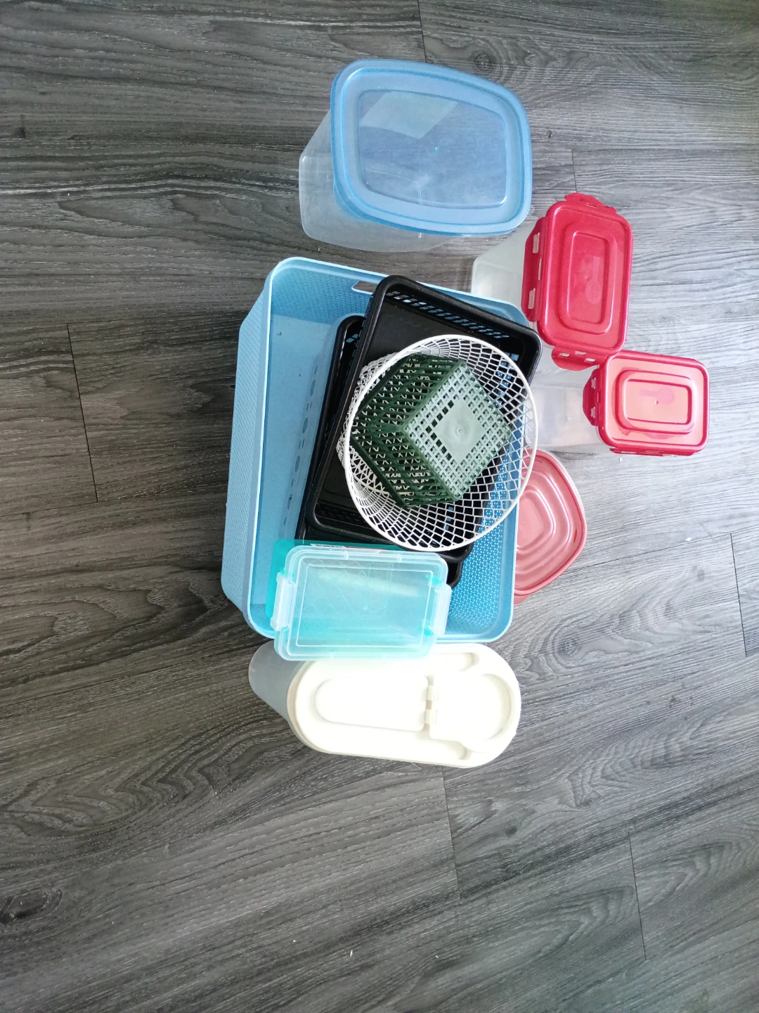 Assorted Food Storage Containers and Bins 10 pieces