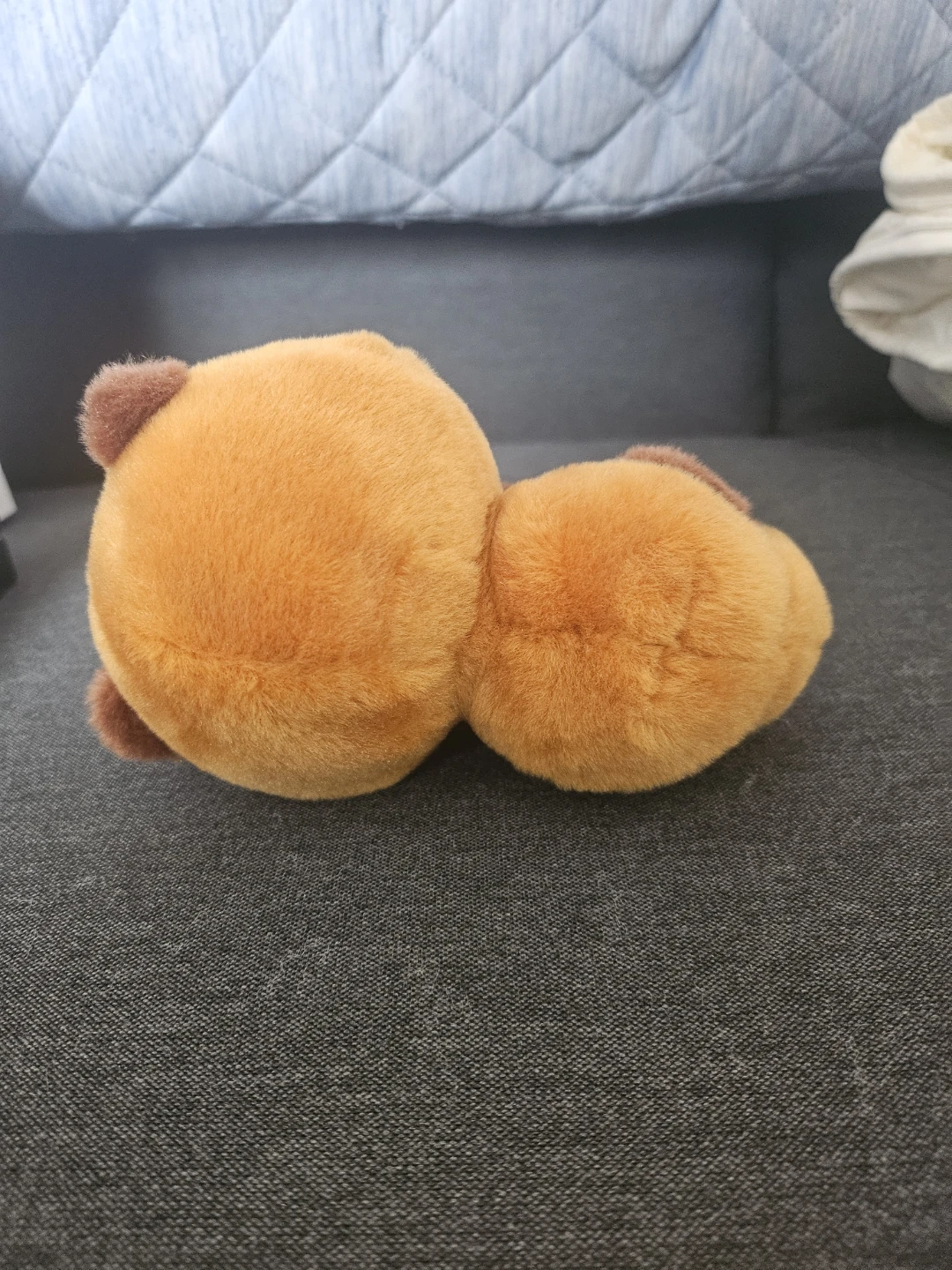 Tanuki plush toy