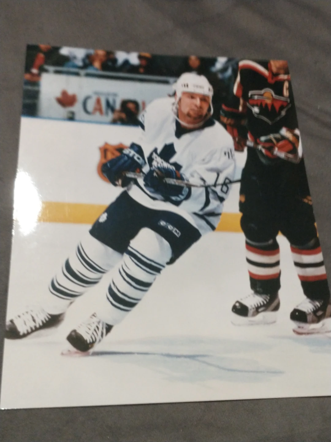 8 x 10" NHL Toronto Maple Leafs Darcy Tucker Hockey Photo - photo 3