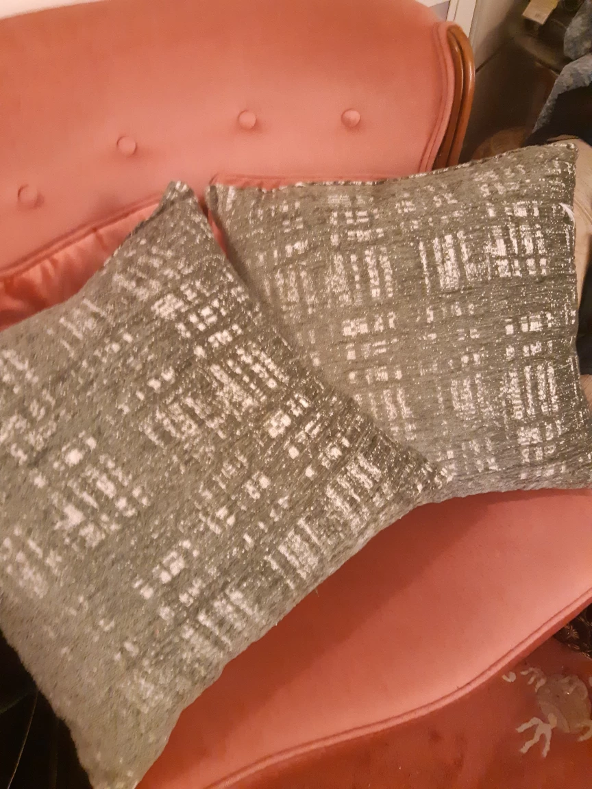Two Decorative Throw Pillows