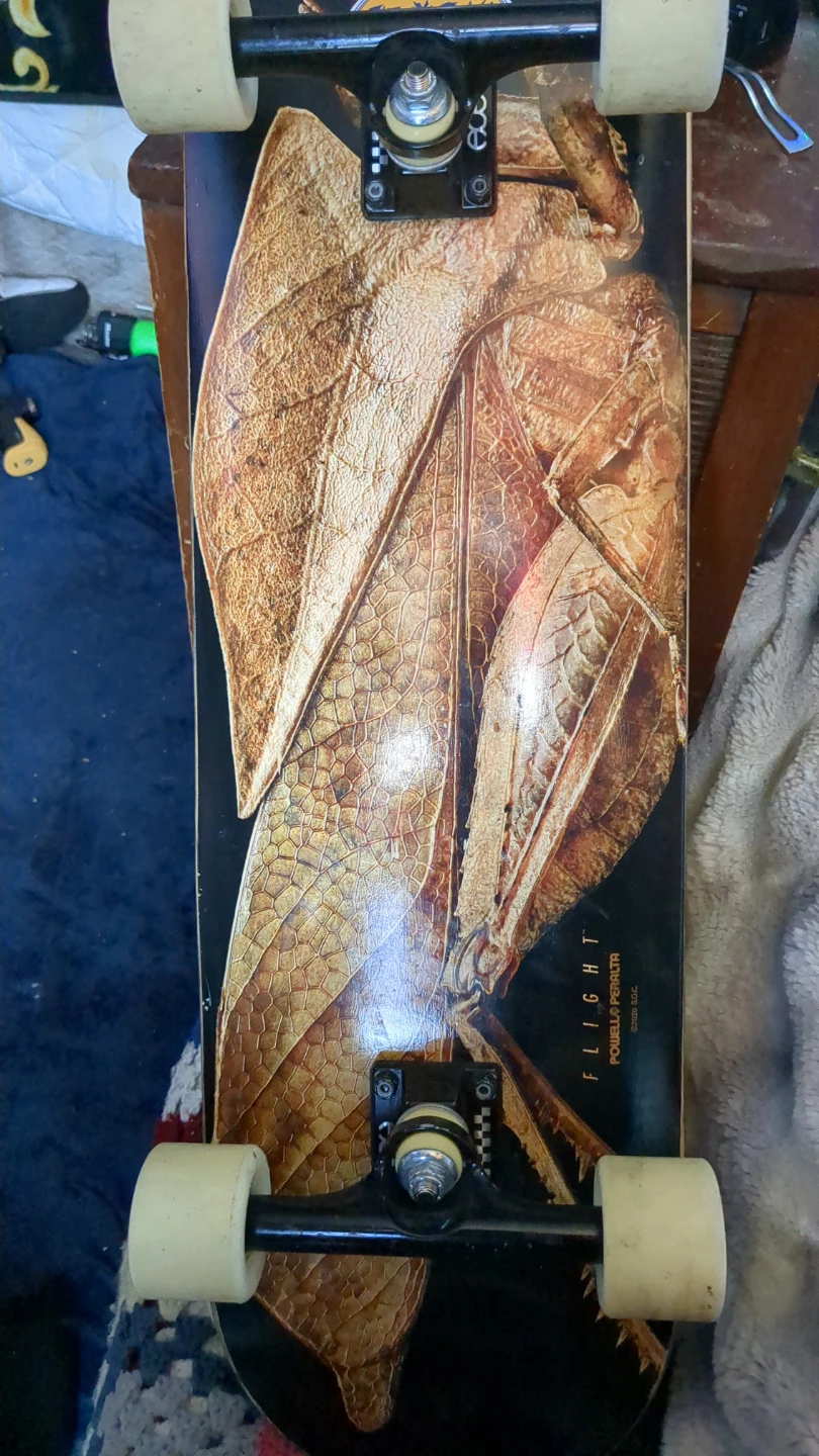 Powell-Peralta Flight Skateboard Deck