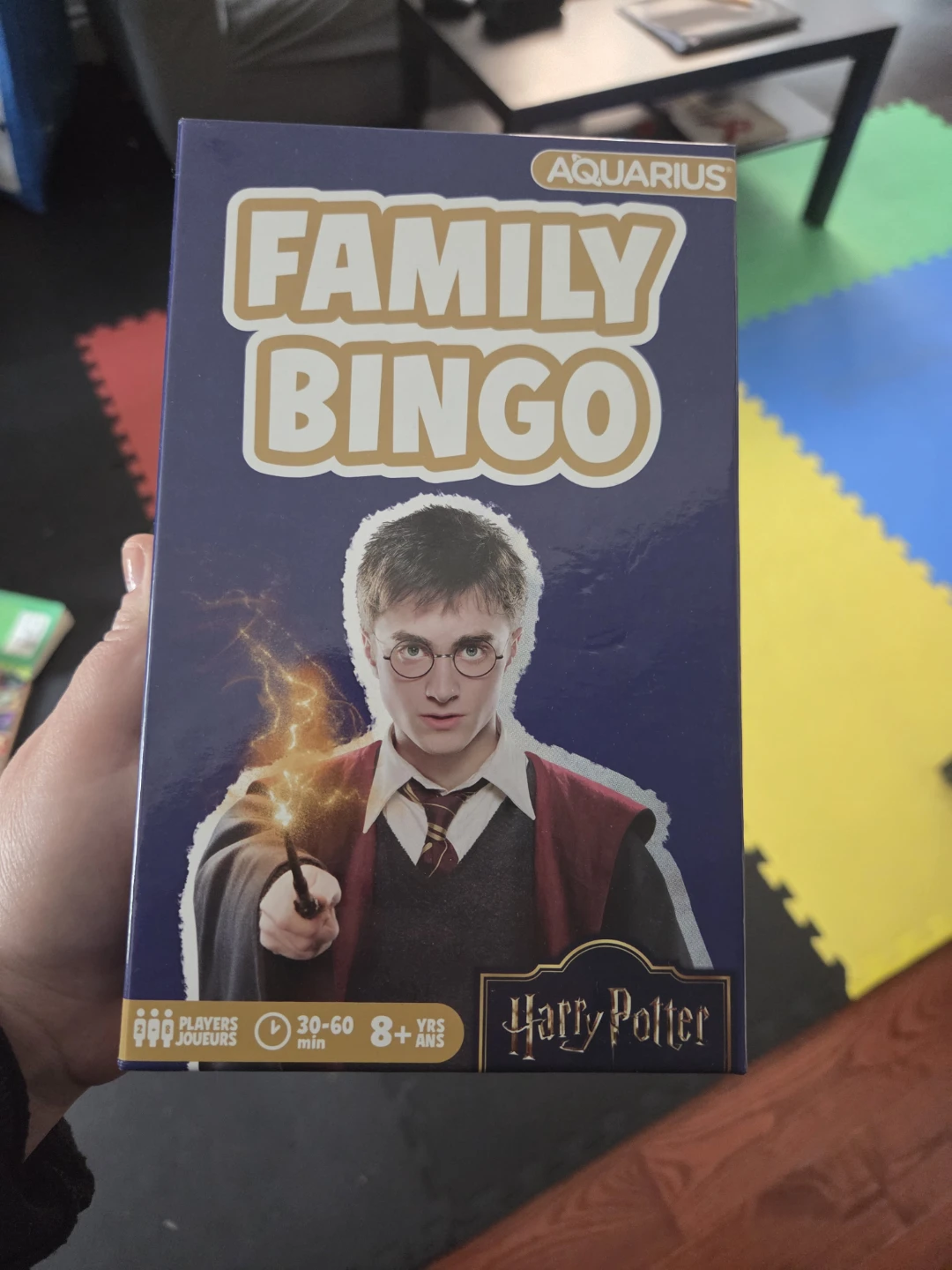 Harry Potter Family Bingo Game by Aquarius