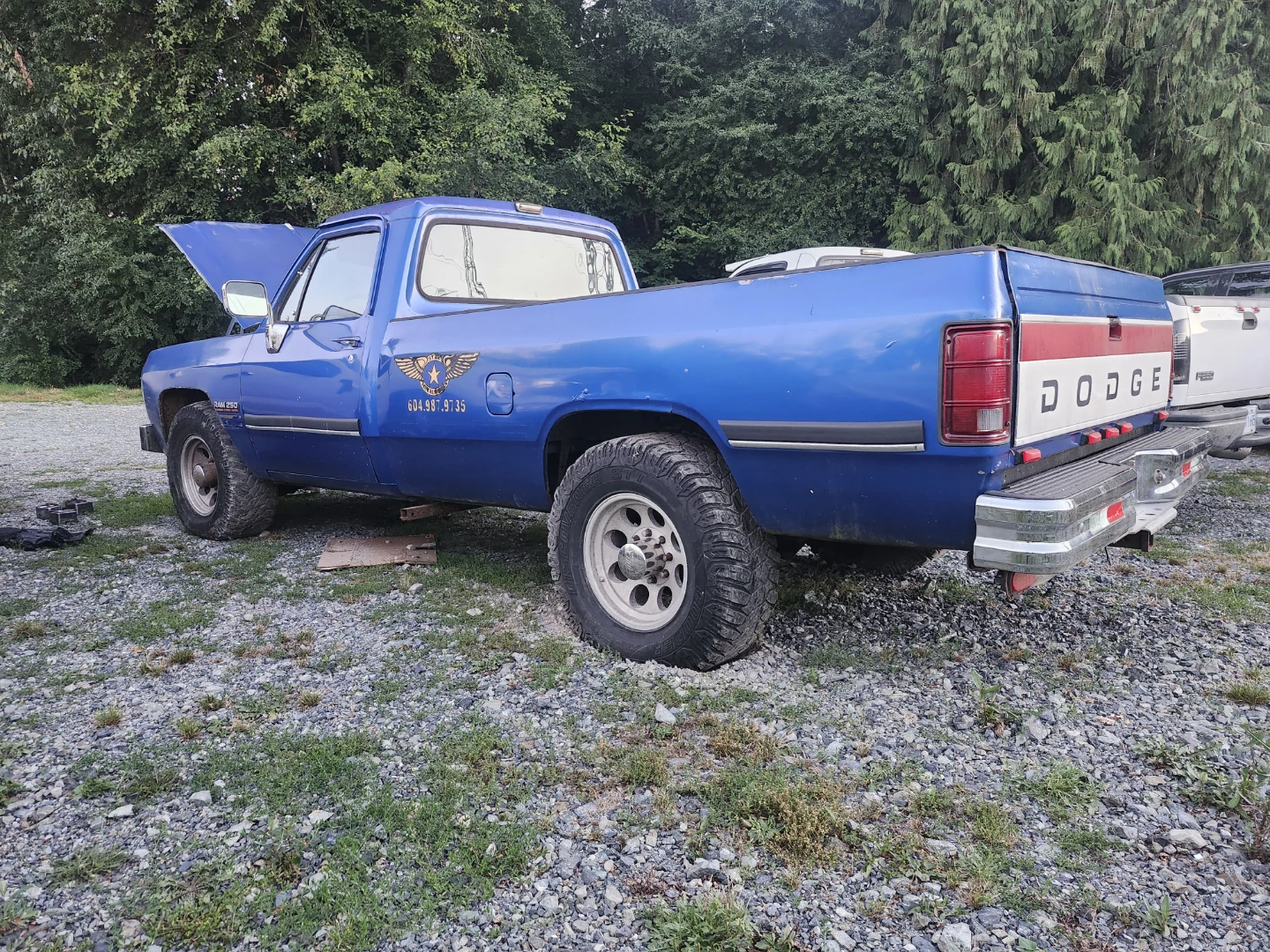 1991 Dodge Ram D250 Cummins - photo 2