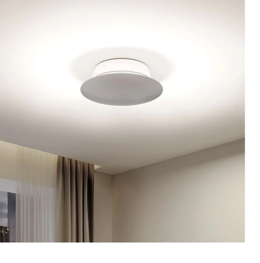 Homelife Mini Ceiling Light - 8.5 inch