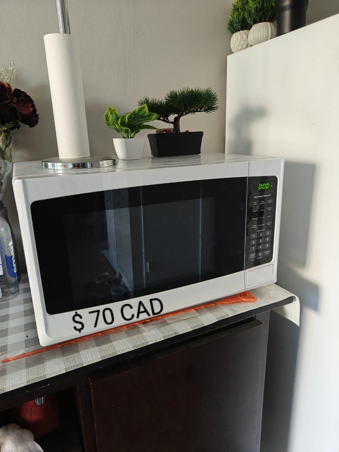 White Microwave Oven - $70 CAD - photo 4