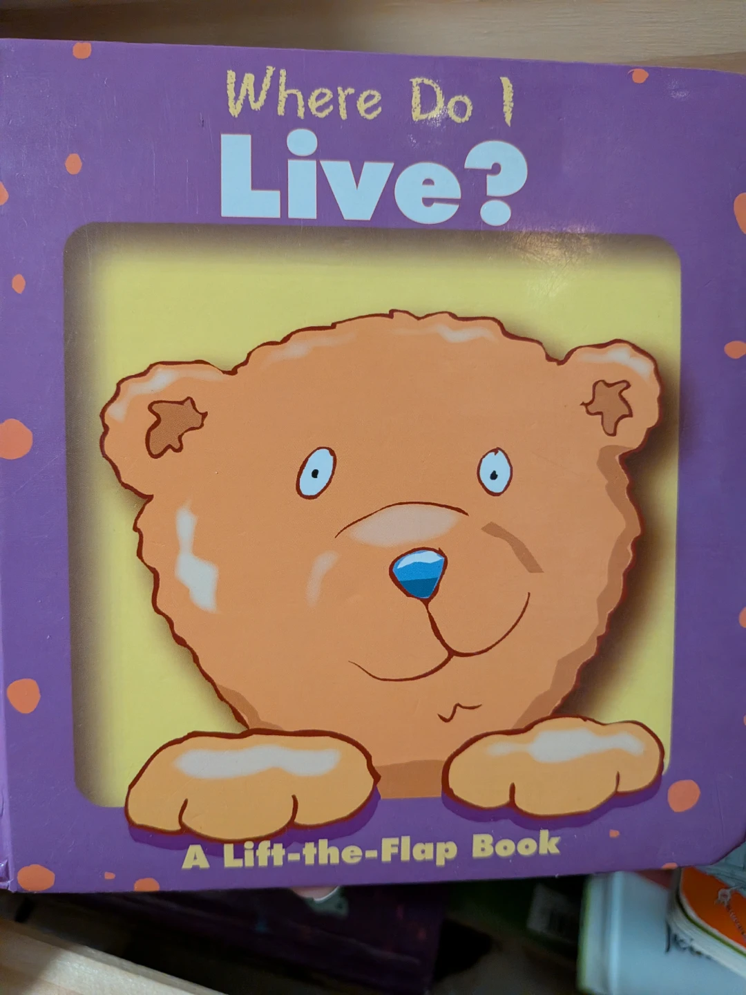 Where Do I Live? Lift-the-Flap Book