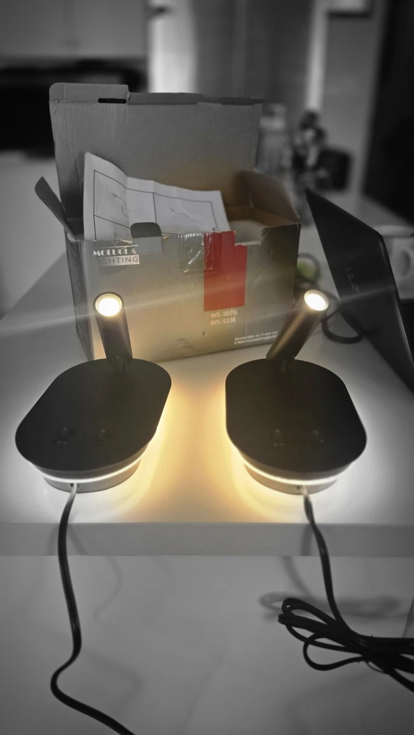 Wall Mounted Reading Lamp with USB Ports