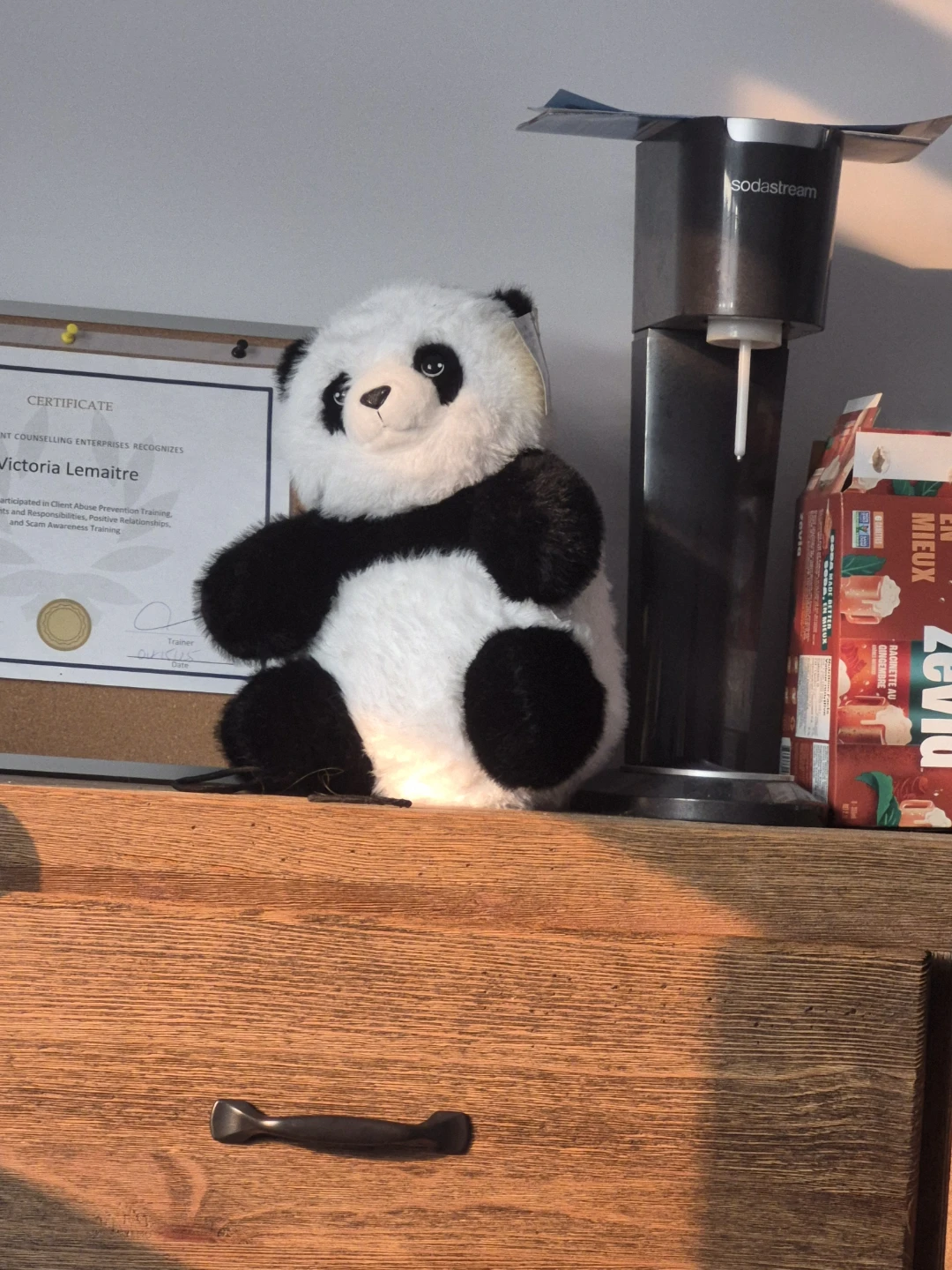Plush Panda Toy