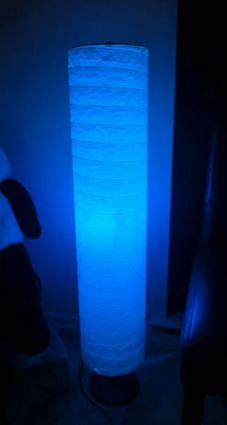 Tall Paper Shade Floor Lamp - photo 2