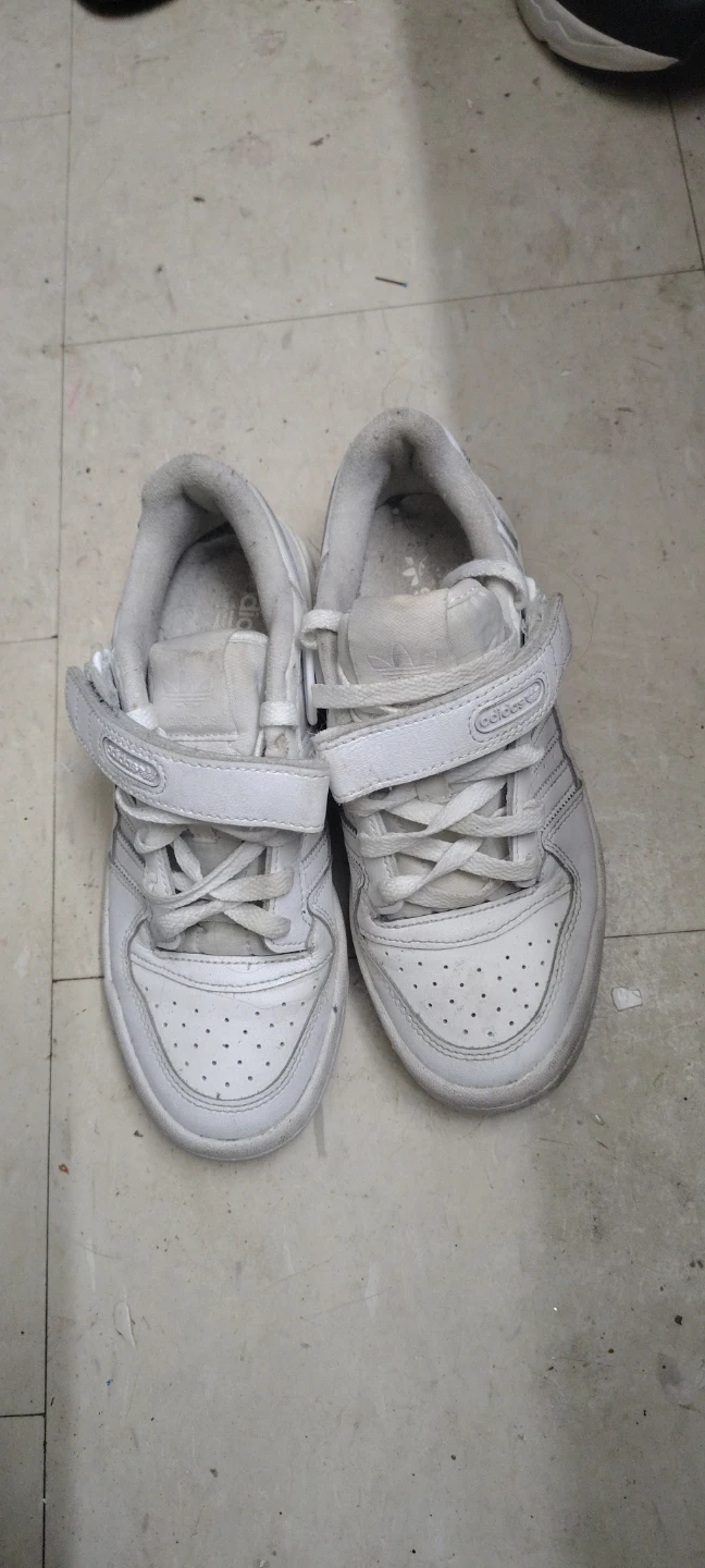 Adidas Forum Low Shoes White Size 5