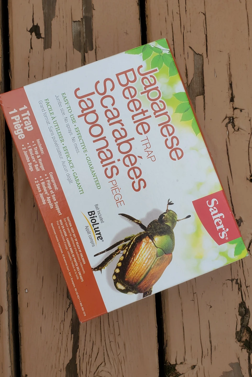 Japanese beetle trap