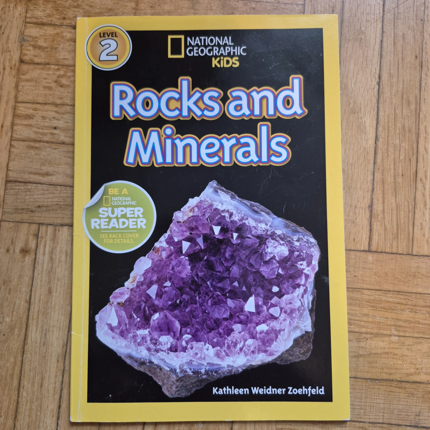 5 Kindergarten Books about Rocks and bonus premade activity - photo 3