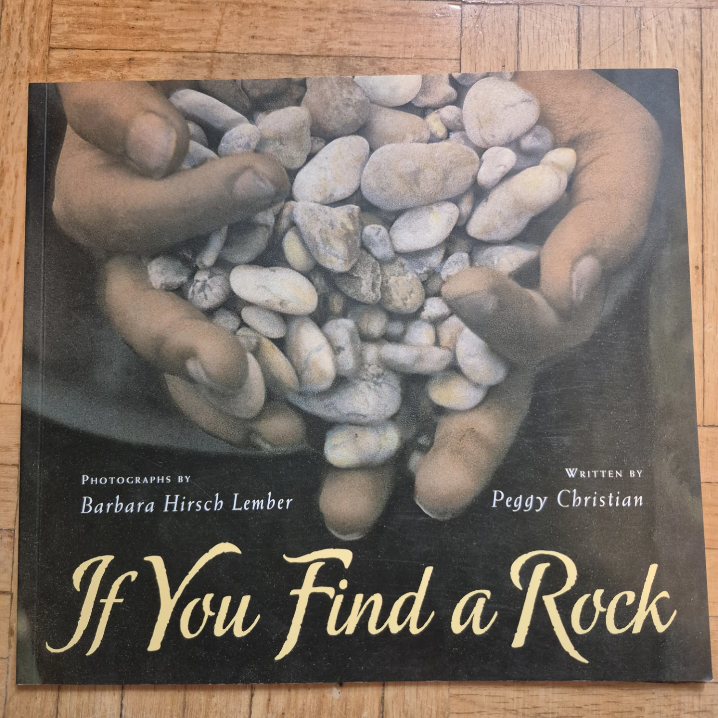 5 Kindergarten Books about Rocks and bonus premade activity - photo 5