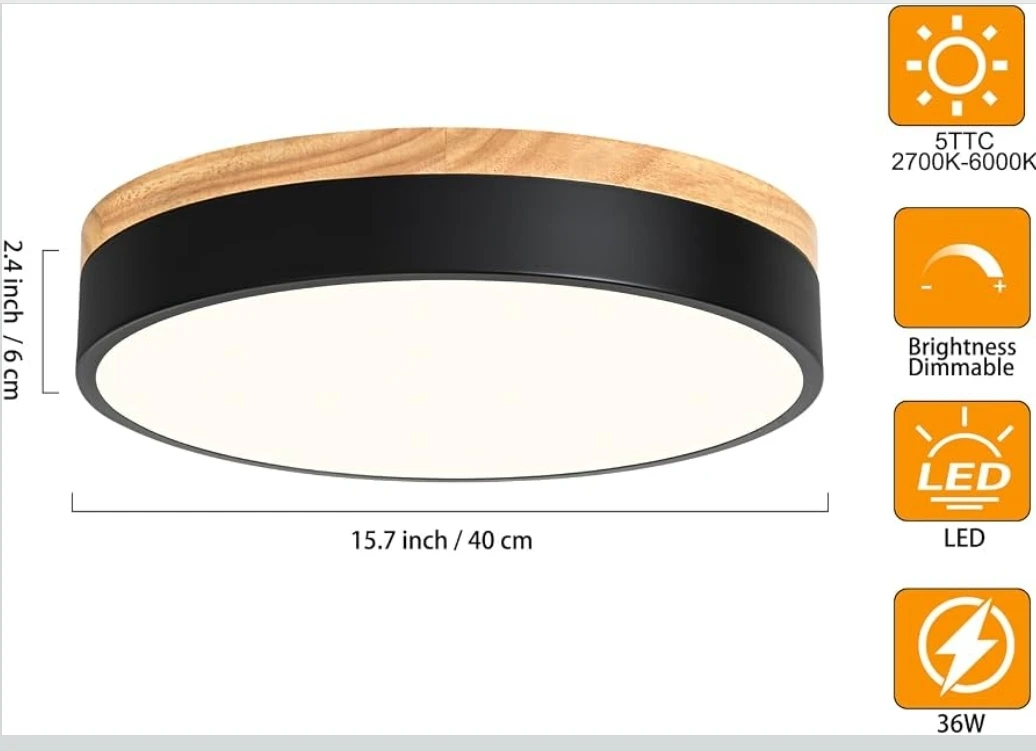Modern Flush Mount Ceiling Light Fixture