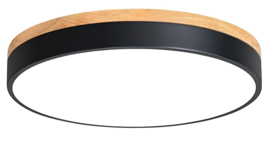 Modern Flush Mount Ceiling Light Fixture - photo 2