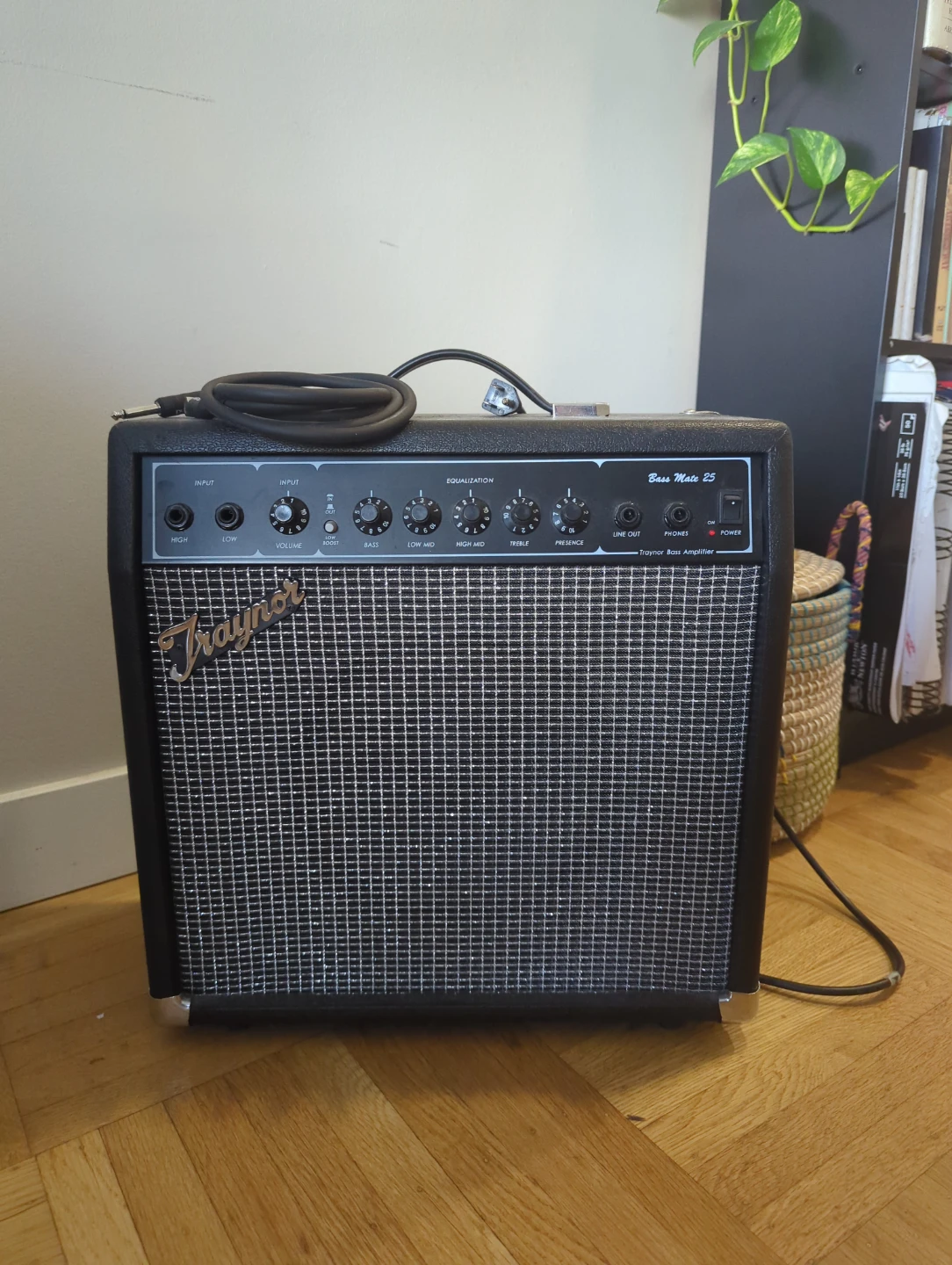 Squier Precision Bass Guitar & Traynor Bass Mate 15 Amp - photo 3
