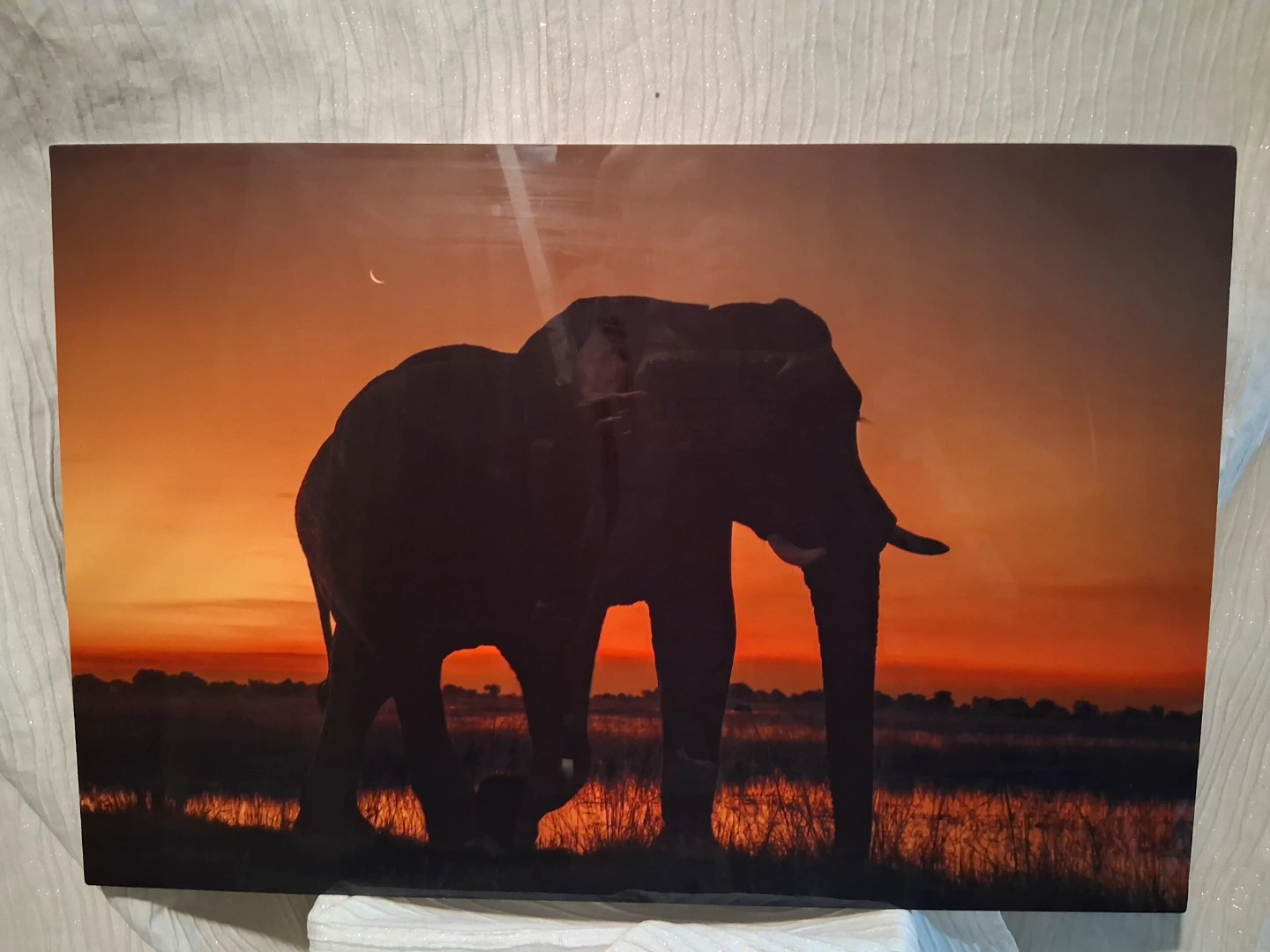 Elephant Sunset Wall Art