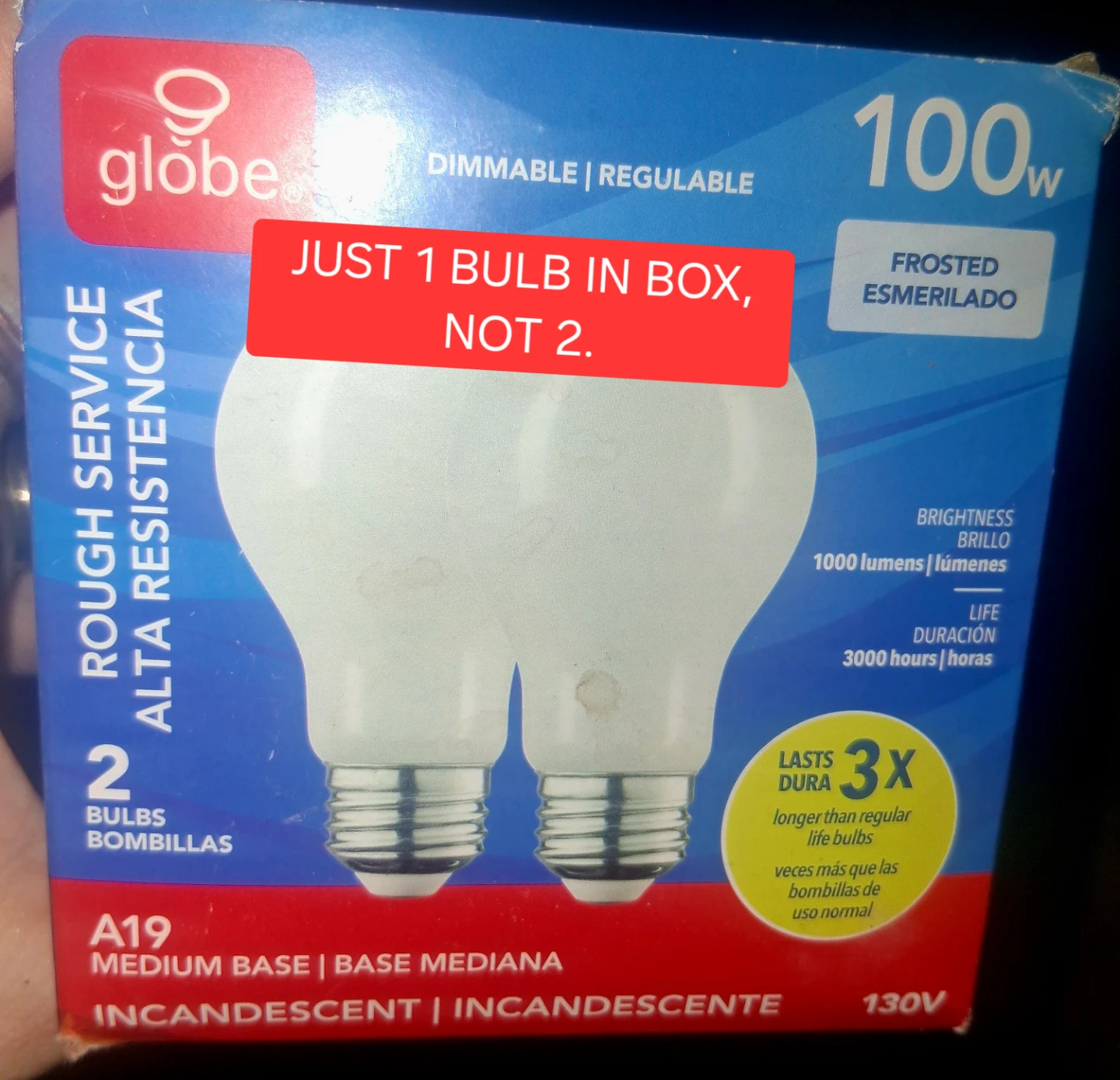 Globe 100W Frosted Incandescent Light Bulb