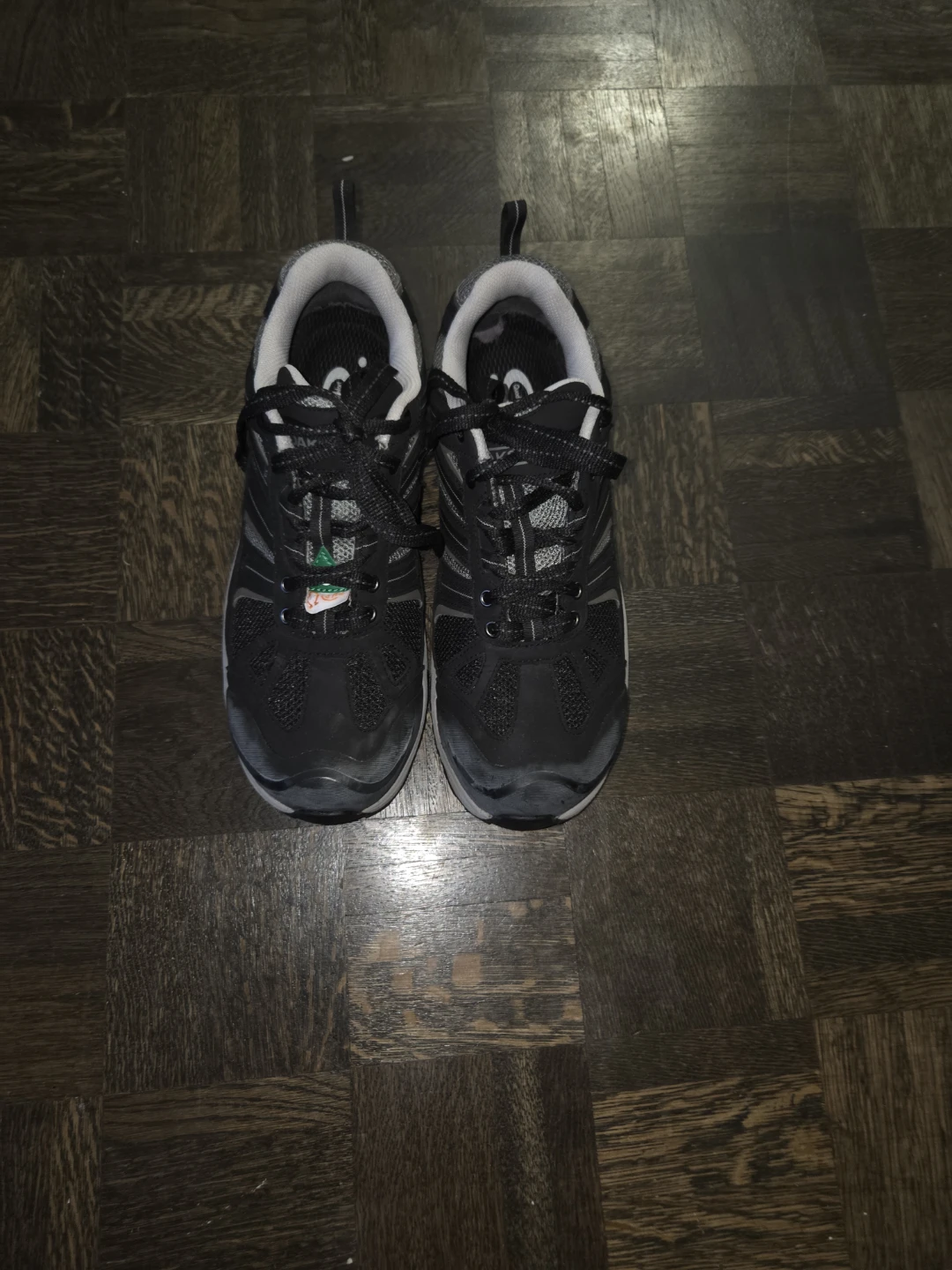 Dakota Pro Steel Toed Shoes