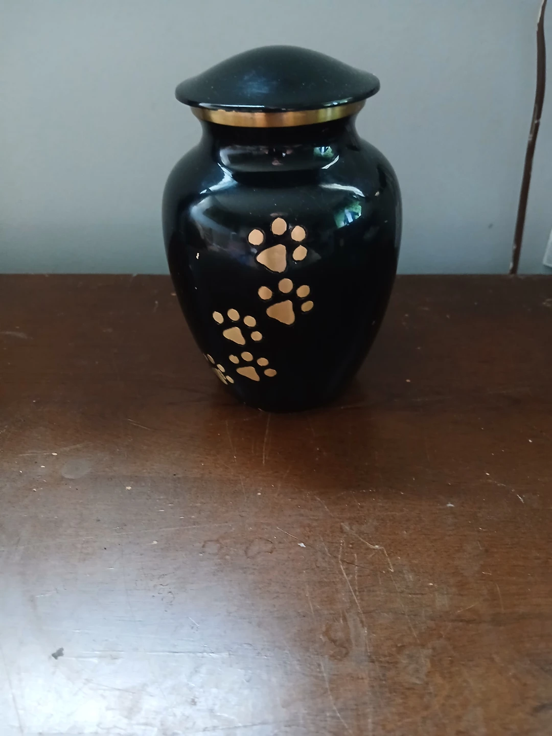 Pet Urn - Black with Paw Prints
