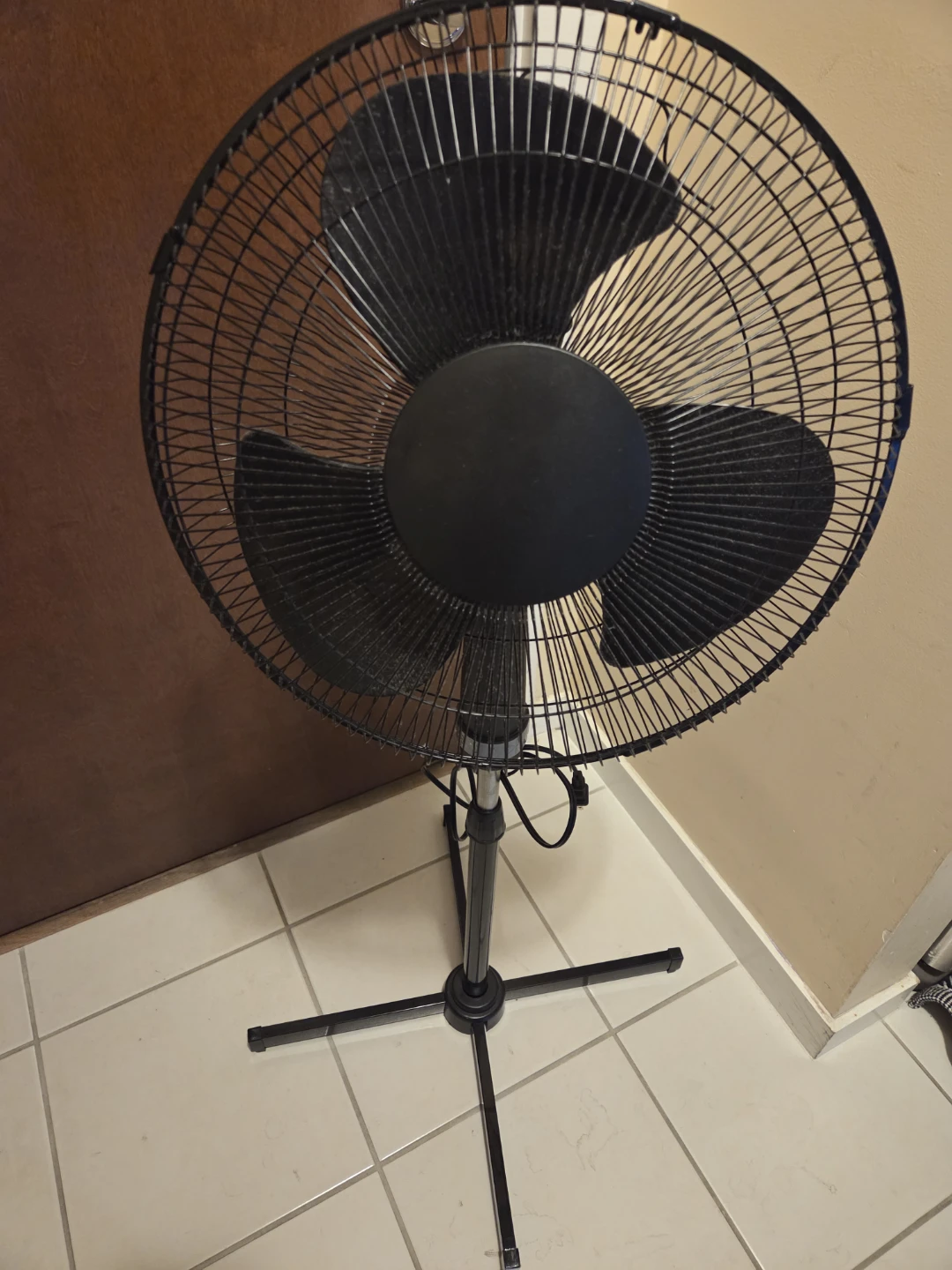 Black Standing Fan