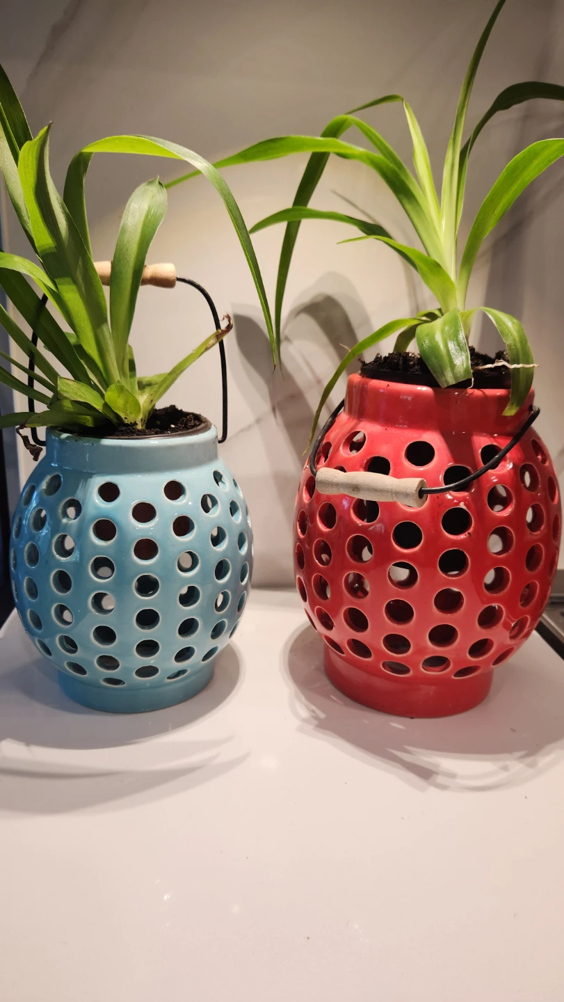 Upcycled lantern planters with plants - photo 4