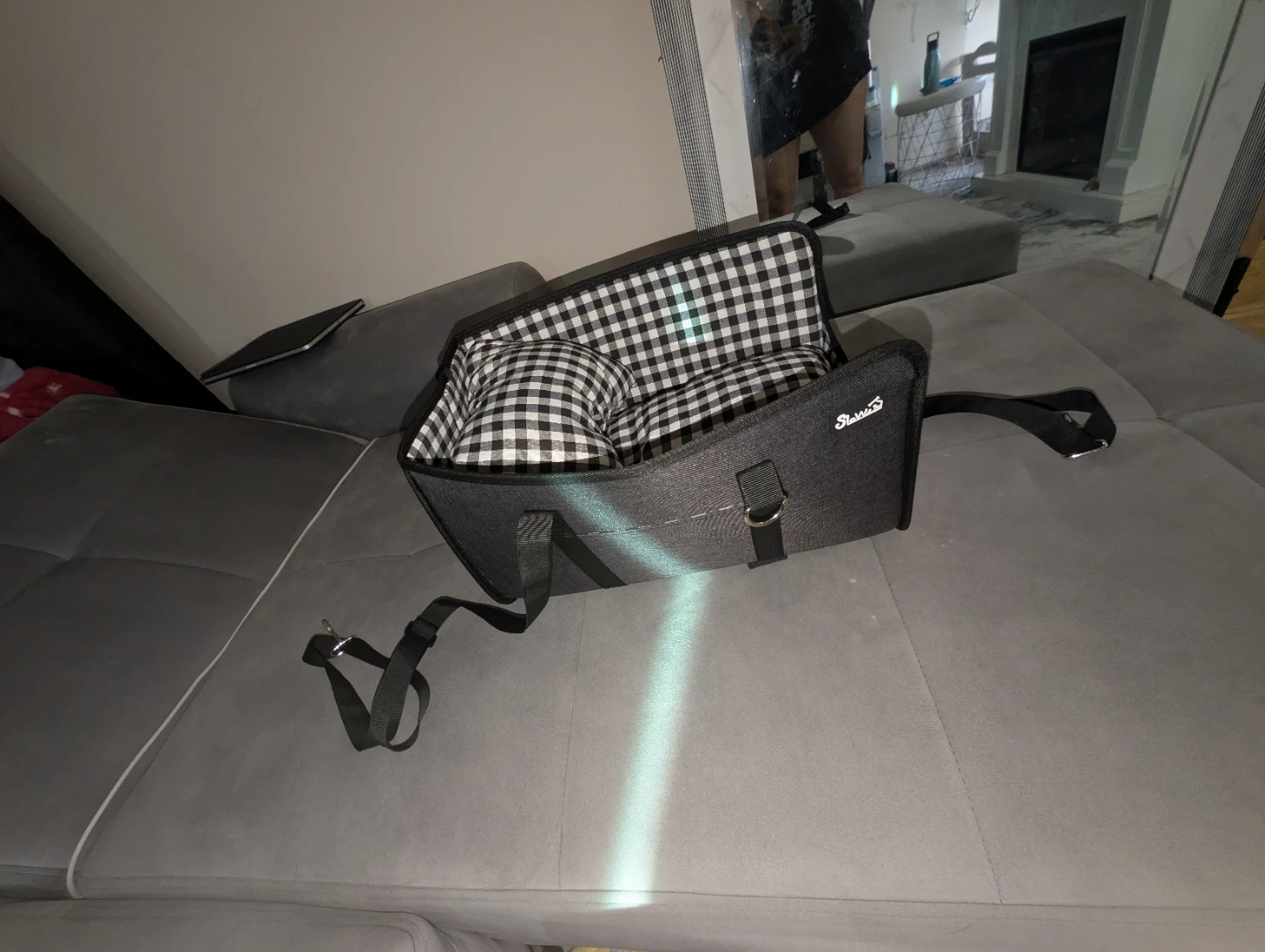 Depisuta Dog Car Seat