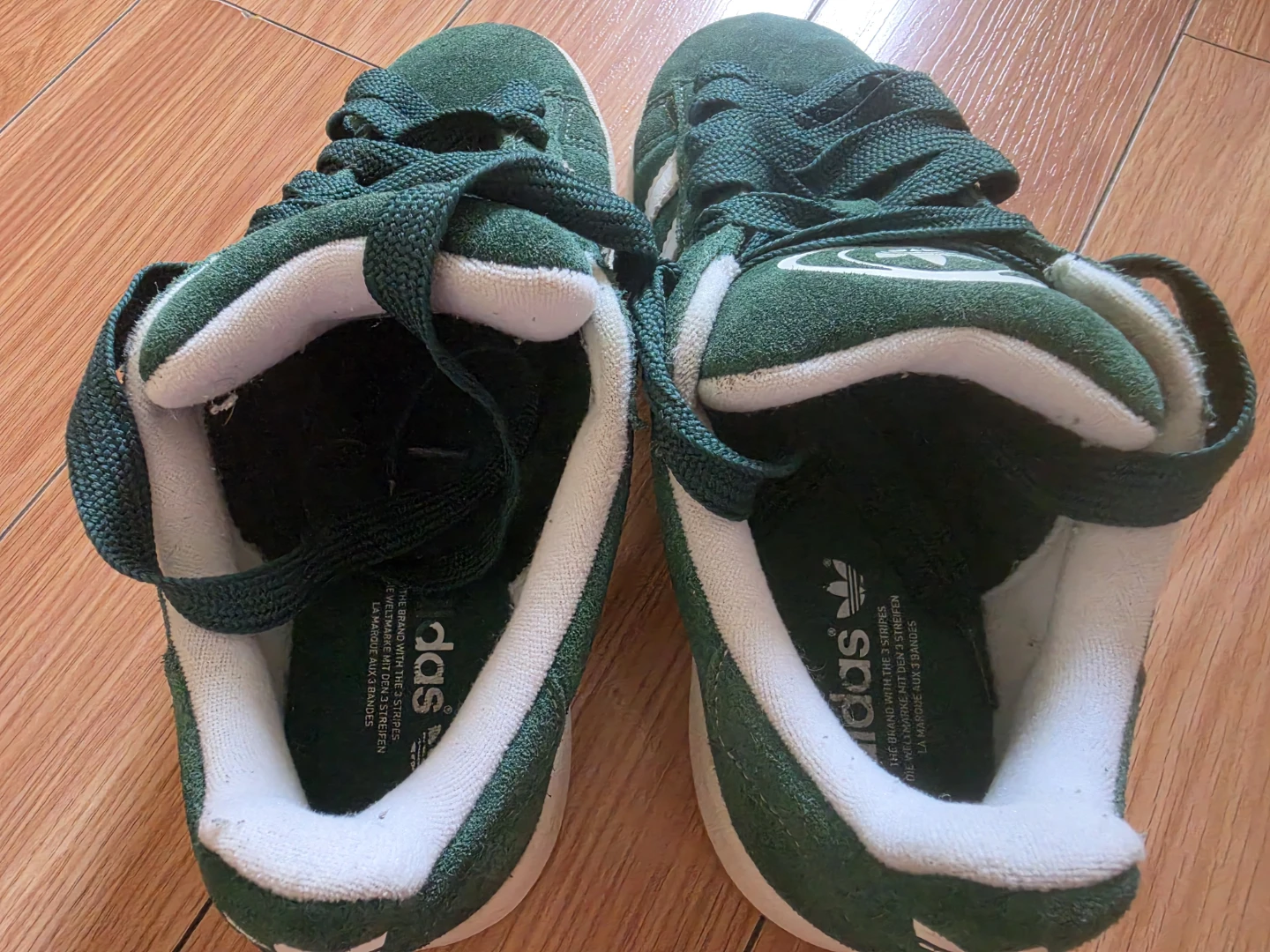 Adidas Campus Green Suede Sneakers - photo 4