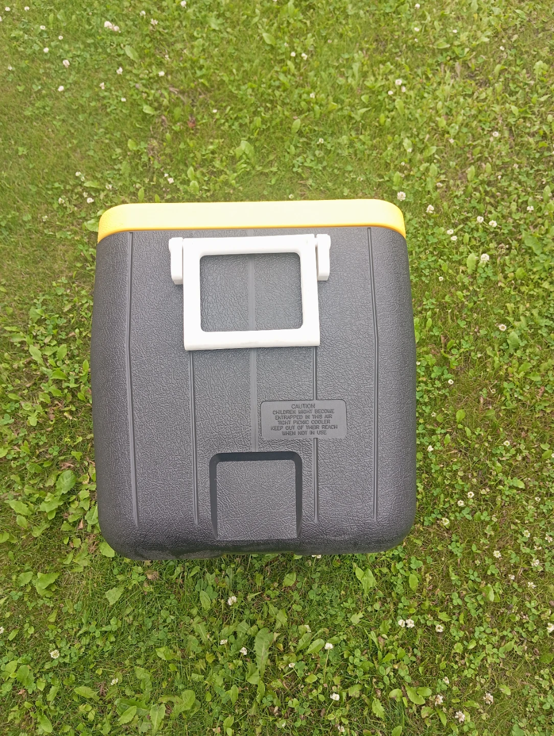 Coleman Cooler 48qt - photo 4