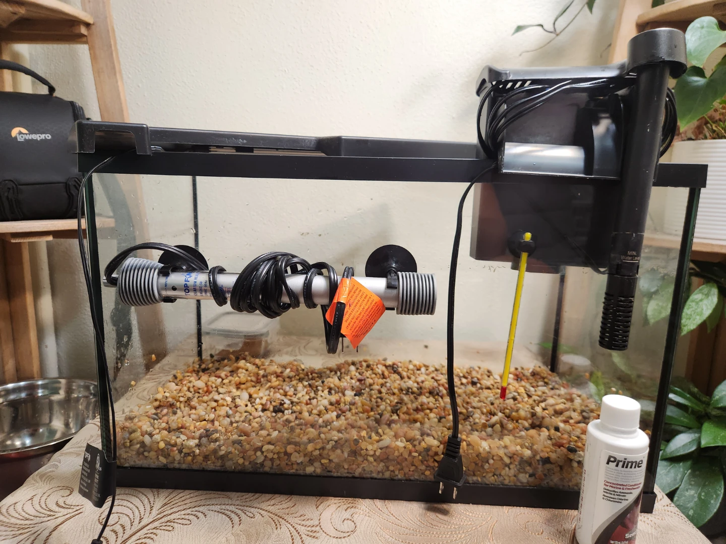 10 gal Aquarium moving sale - photo 5