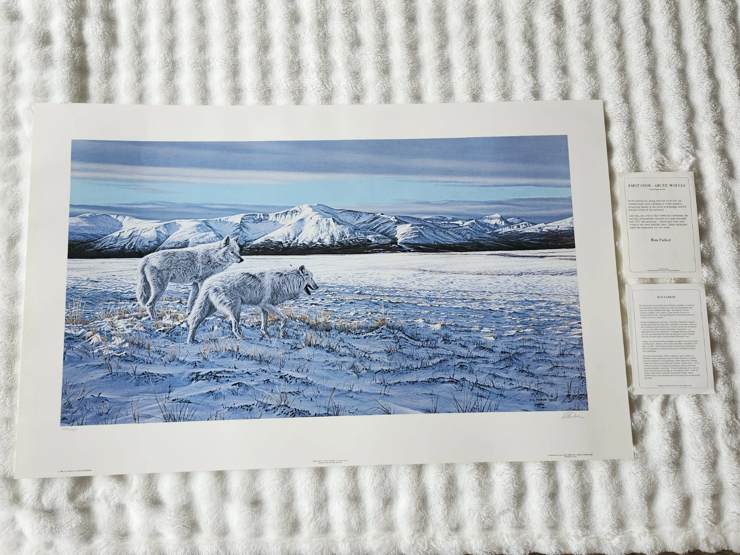 UNFRAMED ART PRINT
