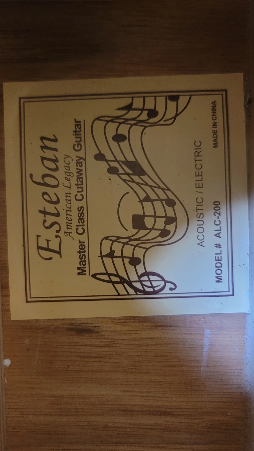 ESTEBAN AMERICA LEGACY MASTER CLASS ACOUSTIC ELECTRIC GUITAR - photo 5