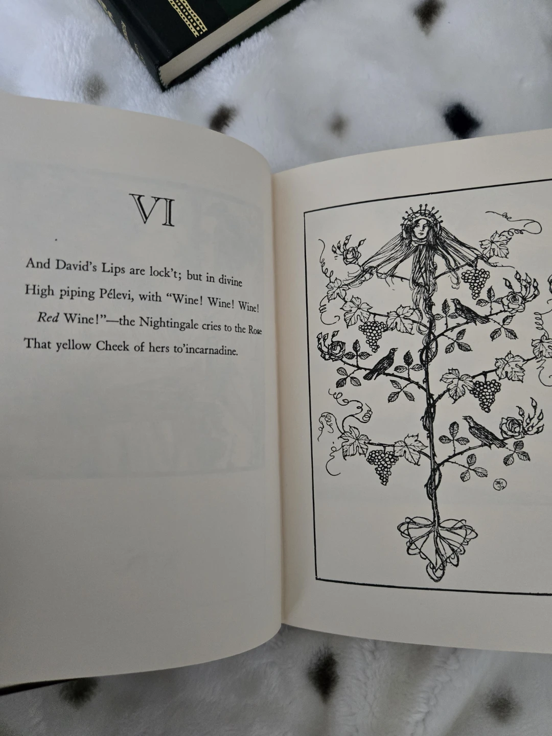 Rubaiyat of Omar Khayyam Book - photo 3