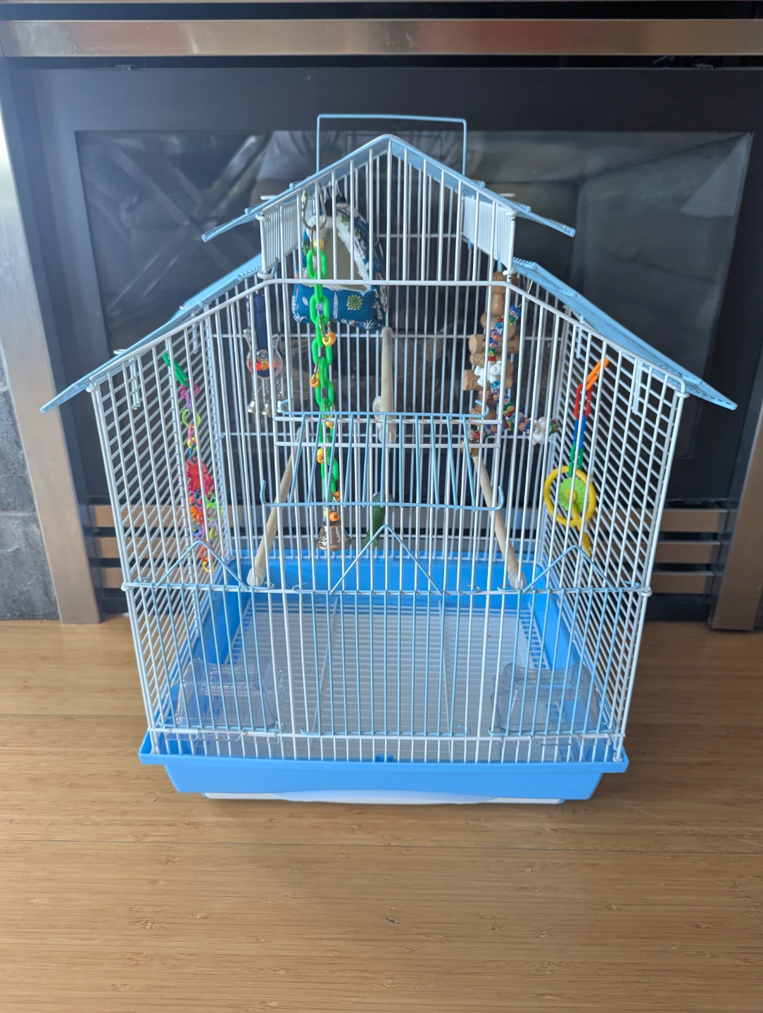 Blue and White Bird Cage with Toys