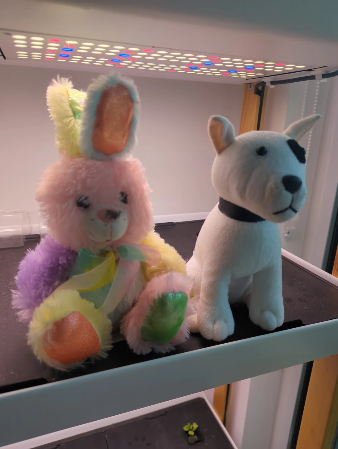 Plushies: Bunny and Dog #free