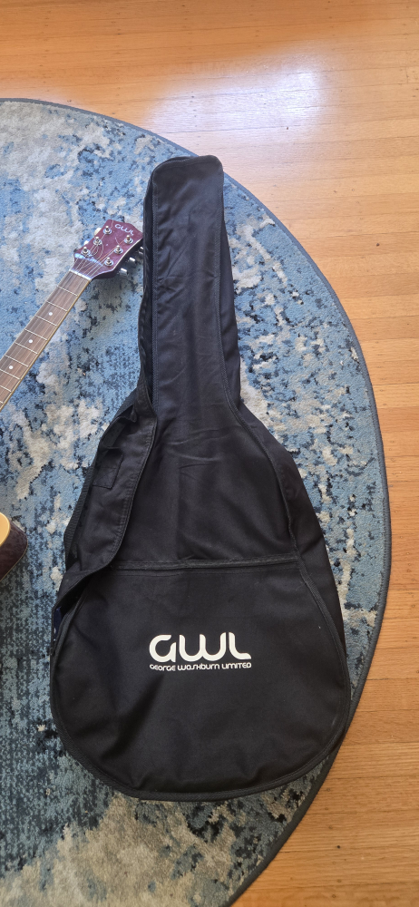 George Washburn Limited Acoustic Electric Guitar + Gig Bag - photo 3