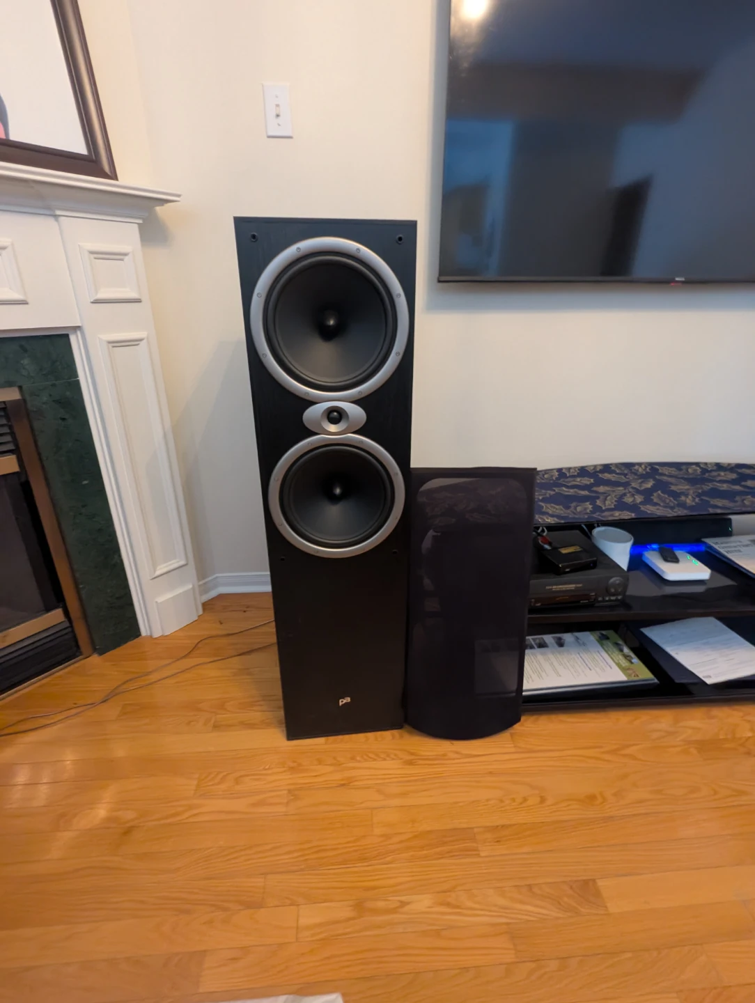 CANADIAN MADE PRECISION ACOUSTIC FLOOR SPEAKERS PA 10.3 - photo 2