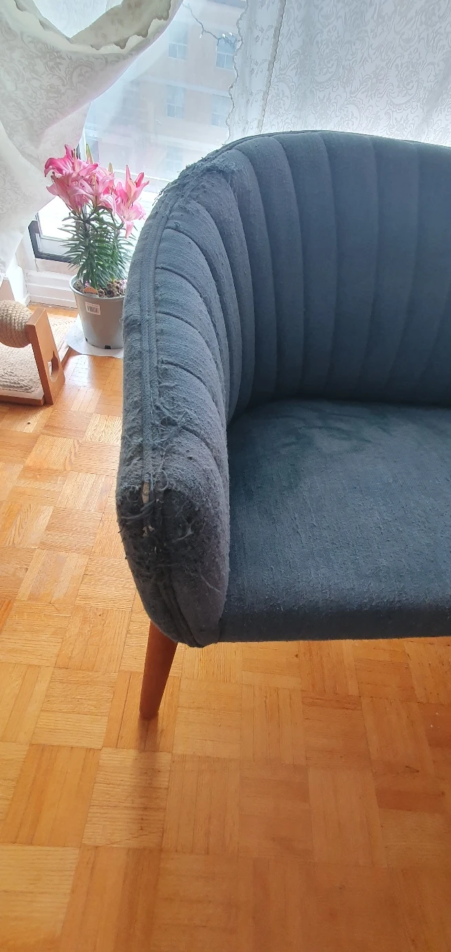 Blue Loveseat Sofa - photo 4
